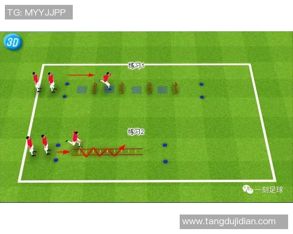 足球明星个人能力的全面解析与影响力探讨