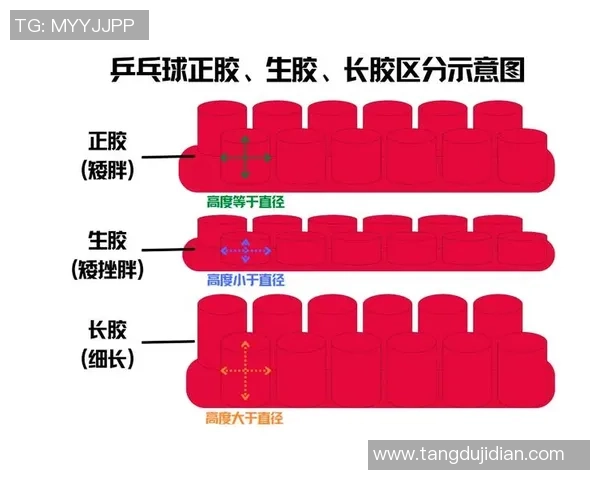乒乓球新手攻略：技术入门指南_1