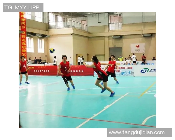 吴芳专访：回顾羽毛球历程