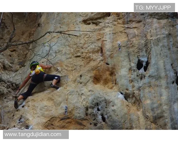 攀岩战术：南京攀岩队的区域防守体系_1